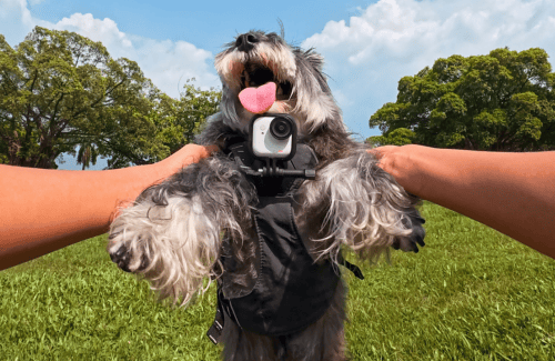 推荐_影石X5 X4总有一款适合你爱游戏app网站手机版全景运动相机(图3) 推荐_影石X5 X4总有一款适合你爱游戏app网站手机版全景运动相机(图3)