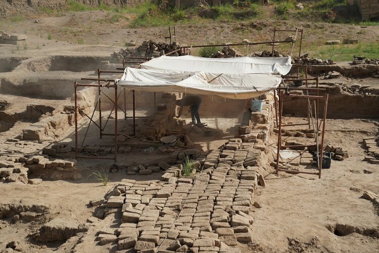 中埃联合考古 推动文明交流互鉴爱游戏app网站资讯有故事丨(图10)